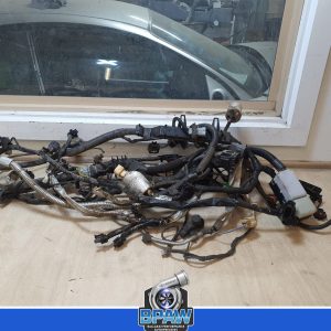 Holden WM LLT V6 engine wiring loom