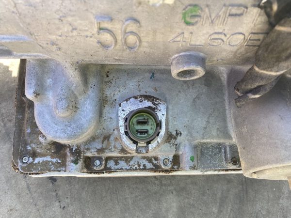 Holden Statesman 2000 L67 Supercharged  Petrol Automatic Transmission - Image 6
