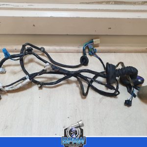 Holden WM statesman RHR door wiring loom window