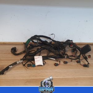 Ford FGX 6 speed engine auto loom LPI gas