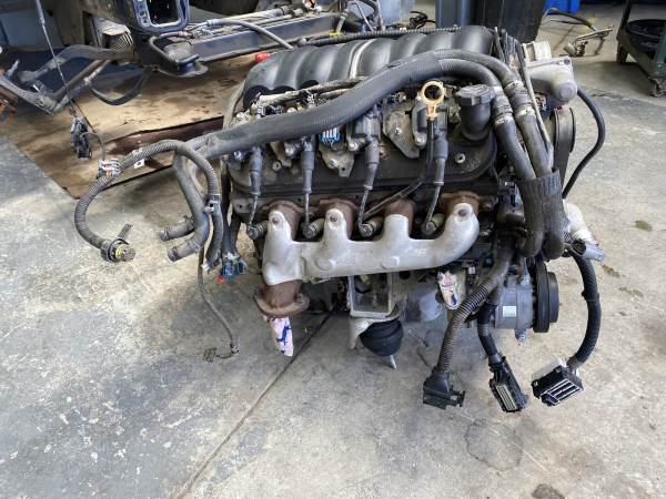 Holden VE SS L76 engine WM VF 6.0 - Image 5