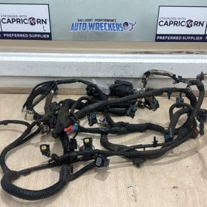 Holden WM VE Caprice L98 2008 V8 engine wiring loom