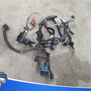Holden WM Caprice L77 automatic wiring loom B plug