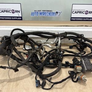 Holden WN VF L77 automatic engine harness wiring