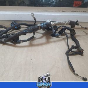 Holden WM 6.0 wiring loom B cut